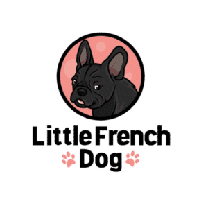 Little French Dog
