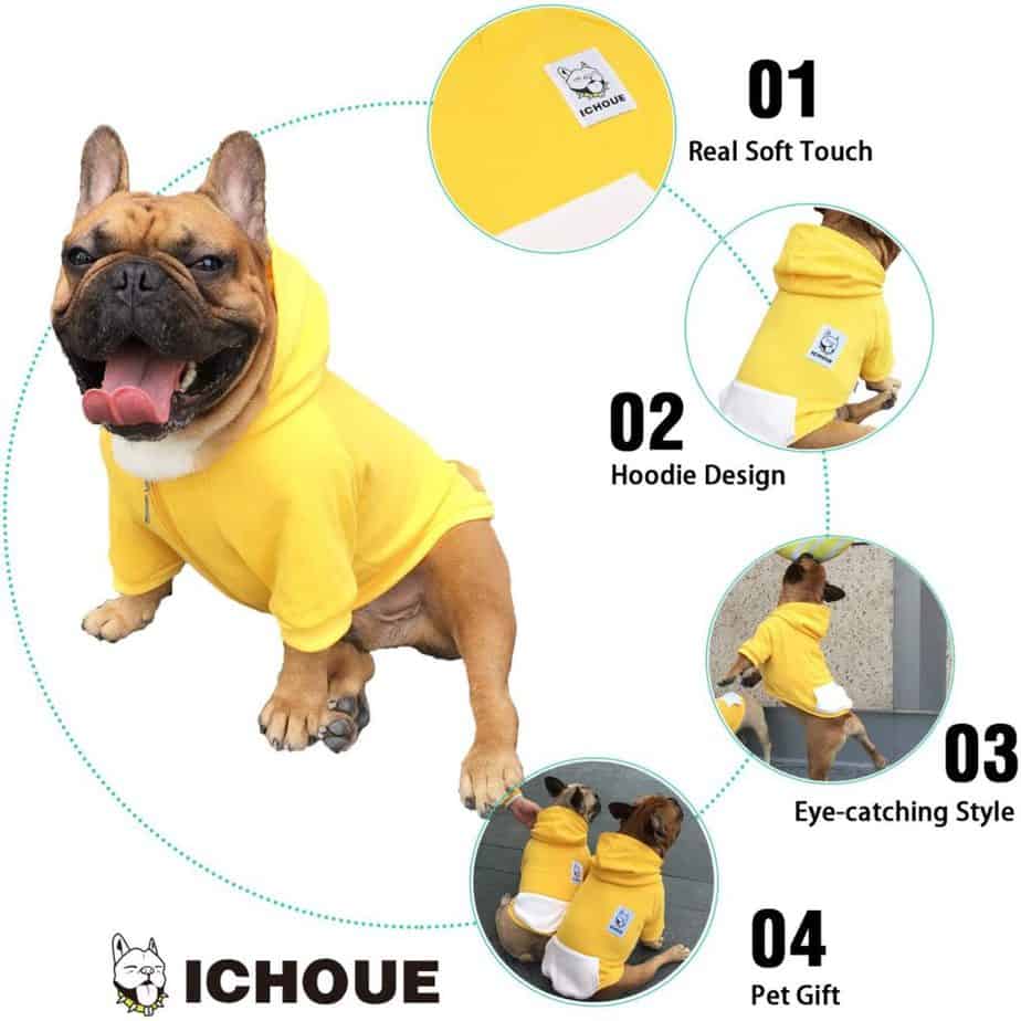 Top 6 French Bulldog Coats/Jackets For Winter. 7