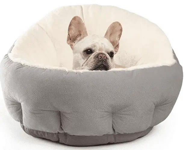 Warm Winter Beds For You French Bulldog cute