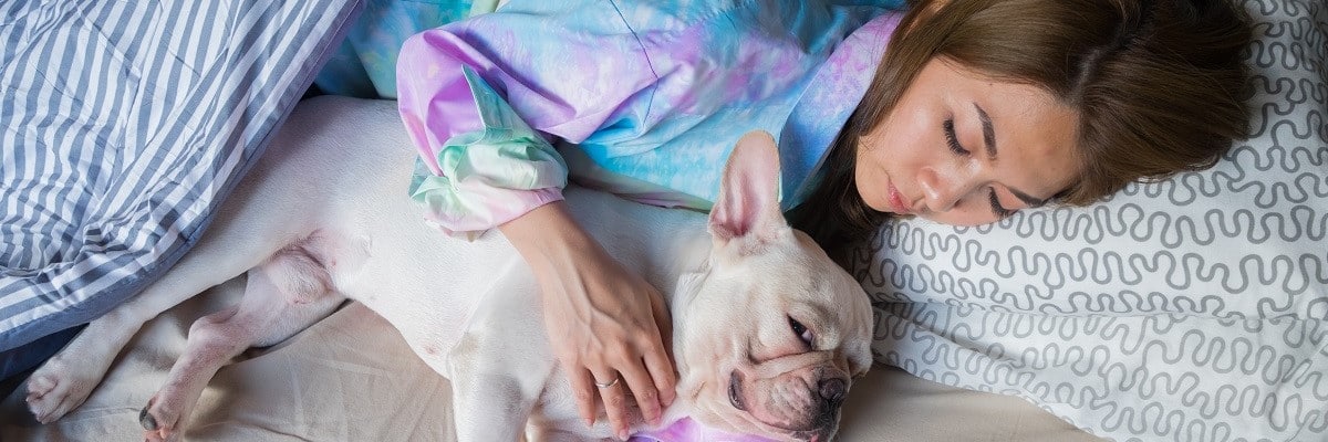 Should I Let My French Bulldog Sleep With Me?